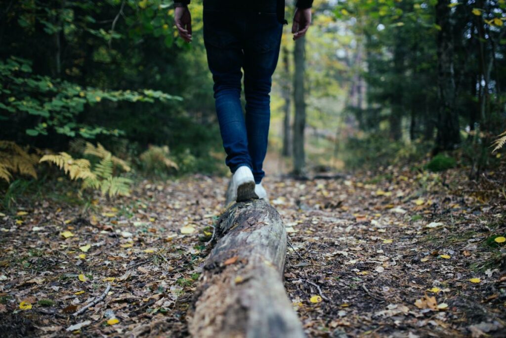Hiking tours throughout Bradenton and Anna Maria Island