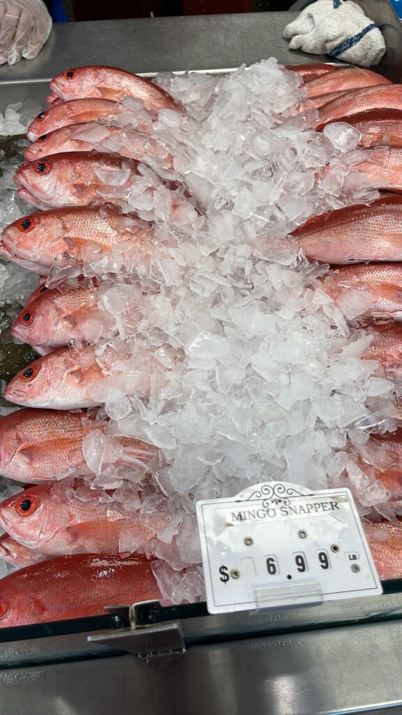 Mingo/ B-liner Snappers, freshly caught and displayed on ice at Maria's fresh Seafood Market in Pensacola, Florida.