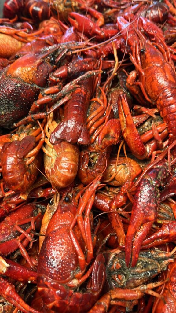 Boiled craws, displayed in a deal bundle at the Navarre Seafood Market.
