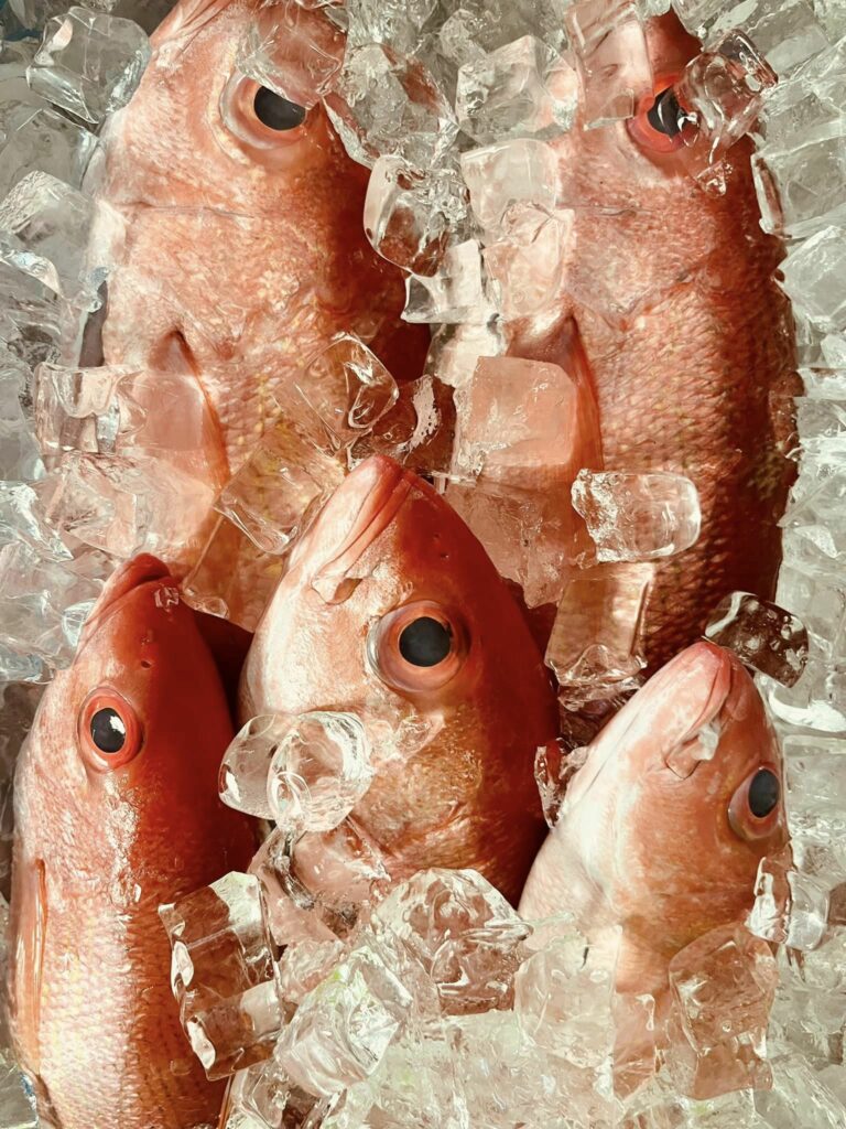 Fresh Mingo Snappers, locally sourced and displayed at the Navarre Seafood Market