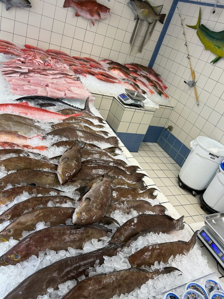 A selection of Sexton's wide variety of fish, like Scamp Groupers, Yellow Groupers, Cusk Fish, Silk Snappers, Long-tail Bass, and Black-fin Tuna.