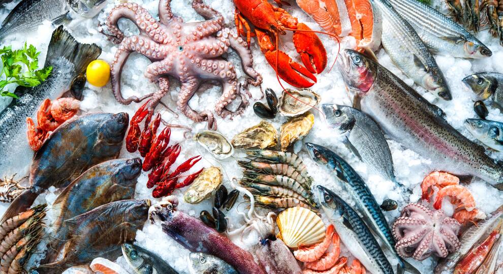 Our guide to the best fresh seafood markets around Anna Maria Island.